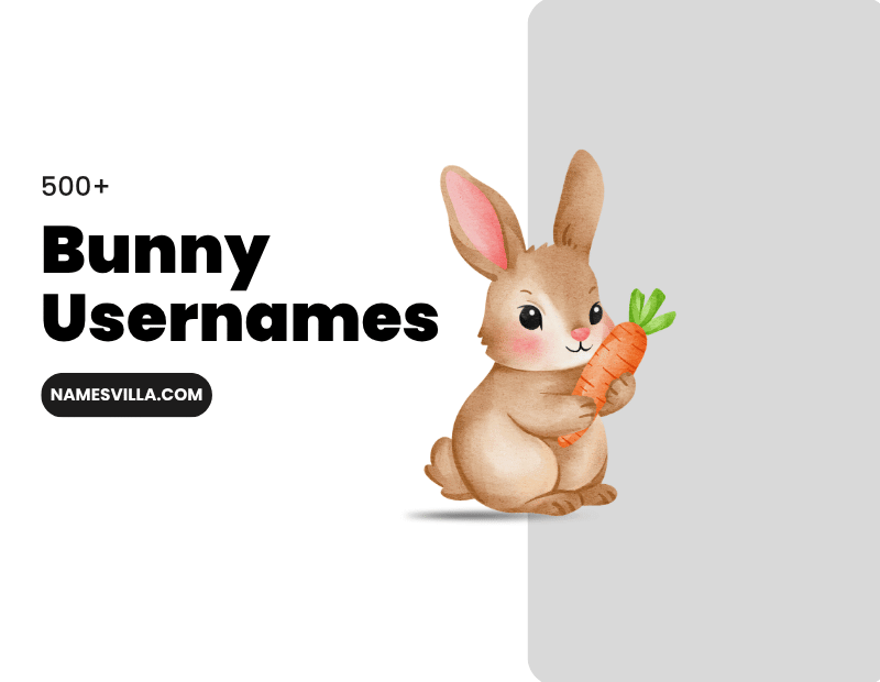 Bunny Usernames