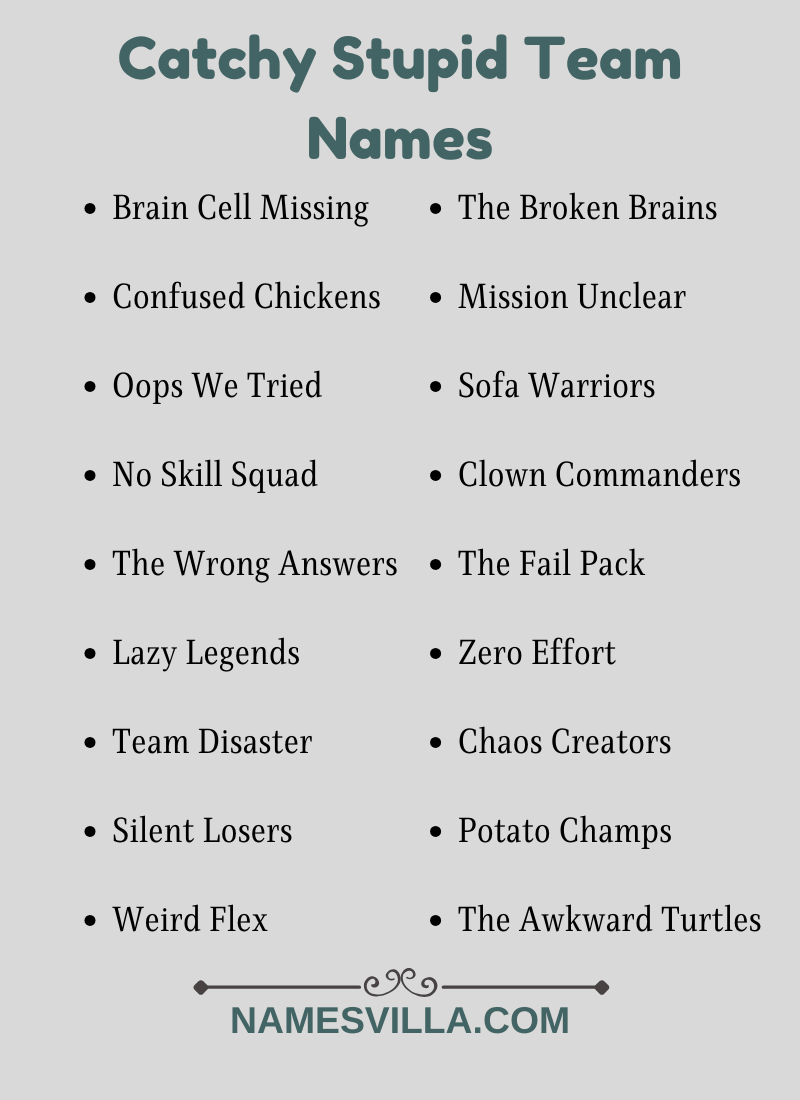 Catchy Stupid Team Names